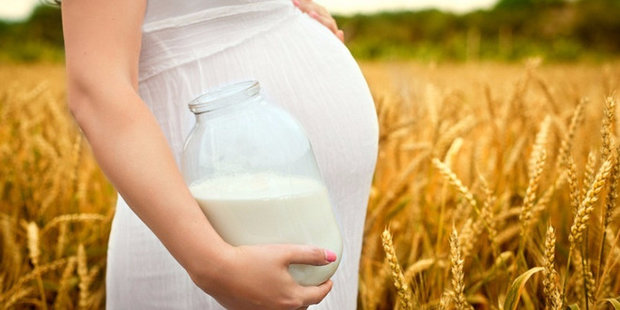 молоко при беременности