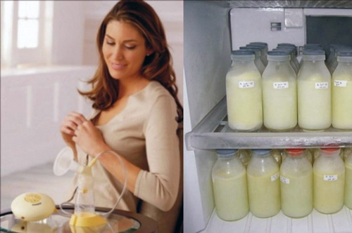сколько можно хранить сцеженное молоко в холодильнике