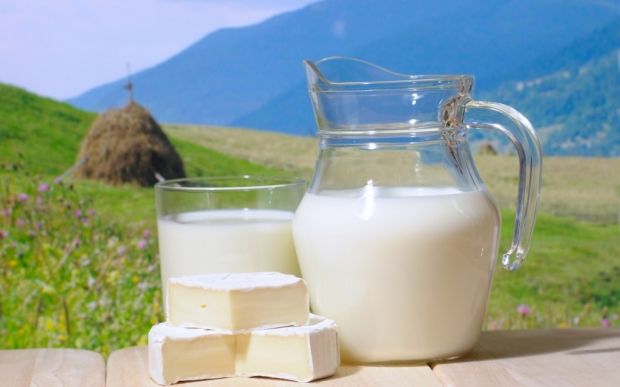 Толстеют ли от молока? Мнение диетологов