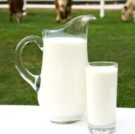 во сколько ребенку можно давать коровье молоко