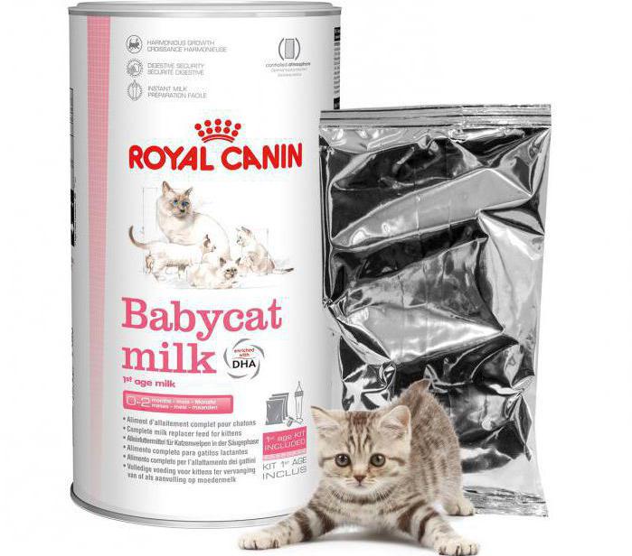 заменитель кошачьего молока инструкция
