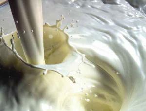 подворье молочные продукты 