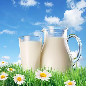 из чего делают молоко