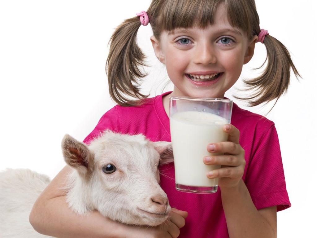 козье молоко для детей
