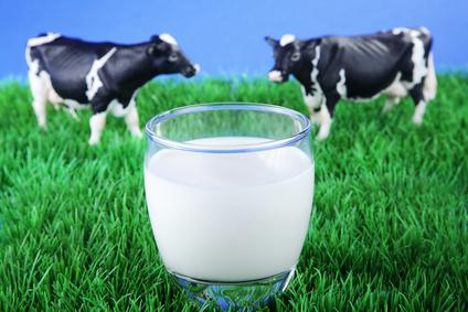 Коровье молоко жирность
