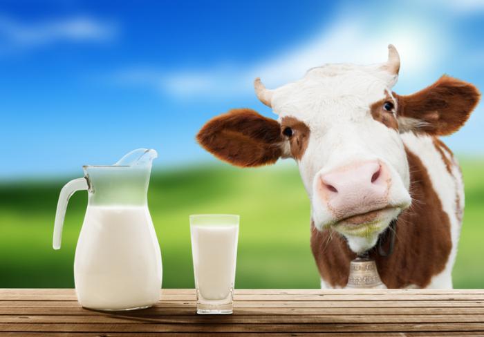 Какой жирности коровье молоко