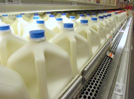 Процент жирности коровьего молока