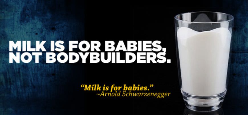 молоко для детей, шварценеггер