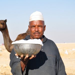 Молоко верблюдов