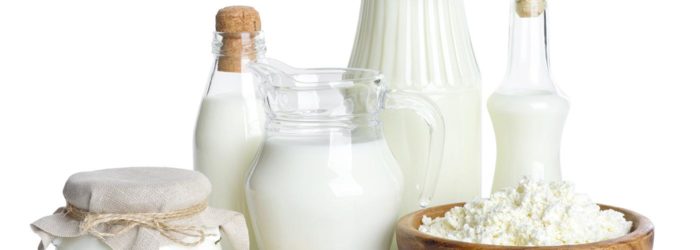 Почему быстро киснет молоко у коровы?