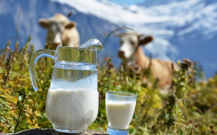 Cколько кипятить молоко из-под коровы?