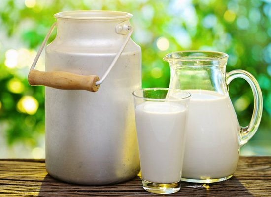 целебные свойства козьего молока