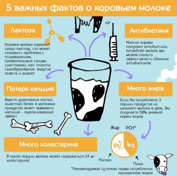 5 важных фактов о последствиях употребления коровьего молока