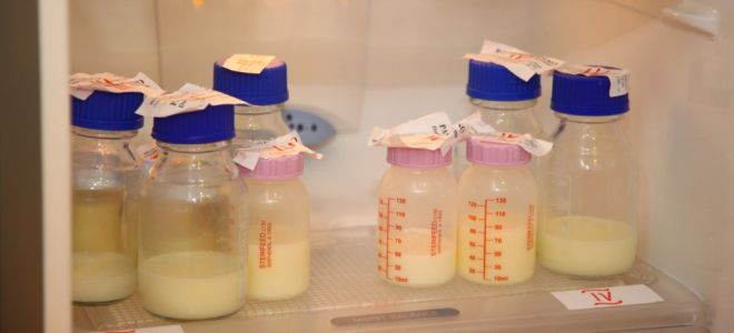 Срок хранения грудного молока при комнатной температуре