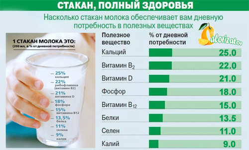 Состав и полезные свойства молока 2.5%