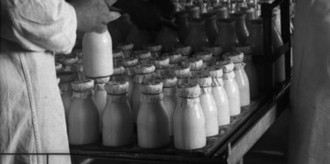 производство пастерелизованного молока