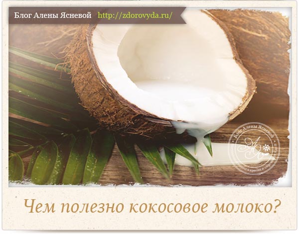 Польза кокосового молока