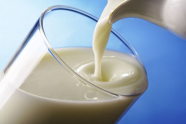 Скисшее молоко и причины его тягучести