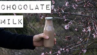 Шоколадное молоко 🌱полезное растительное молоко из конопли