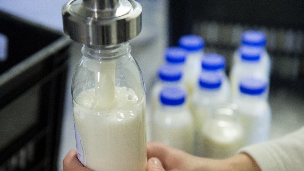 Рынок молока: Стоит ли ждать дефицита и роста цен