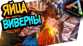 ARK: Scorched Earth - КАК НАЙТИ ЯЙЦО ВИВЕРНЫ И ПРИЗВАТЬ ЧЕРВЯКА! ЭПИК!(ARK:SURVIVAL EVOLVED)