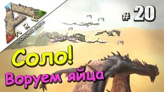 ARK Survival Evolved Scorched Earth (20) Испытываем Виверну, воруем яйца!