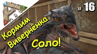 ARK Survival Evolved Scorched Earth (16) Добываем молоко и кормим Виверну Соло!