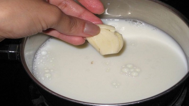 лечение молоком с чесноком