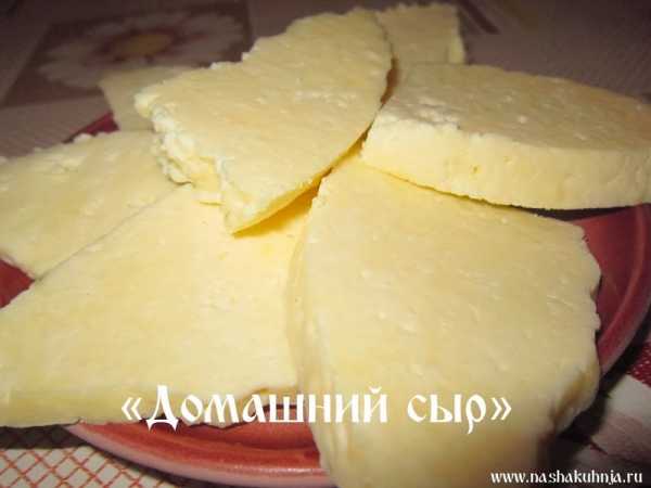 Сыр из сухого молока в домашних условиях рецепт