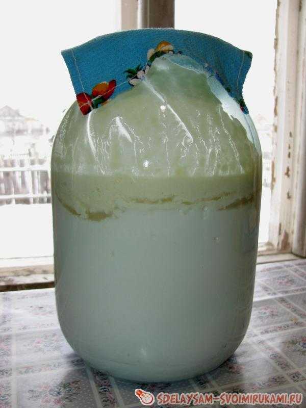 Творог из ультрапастеризованного молока в домашних условиях рецепт